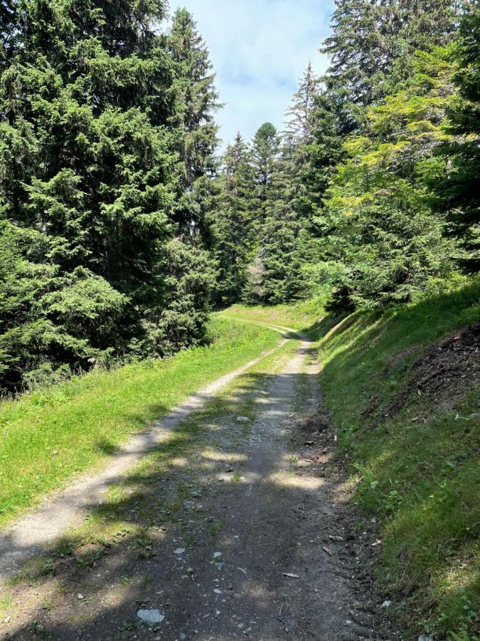 Charmant Appartement Confortable Pour 6 Personnes 40M2 Pied Pistes, Piscine, Wifi, Parking Chamrousse Exterior foto
